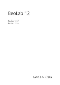 BANG &amp; OLUFSEN BeoLab 123 - Haut-parleur
