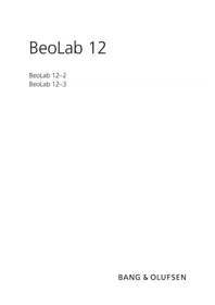 BANG &amp; OLUFSEN BeoLab 122 - Haut-parleur