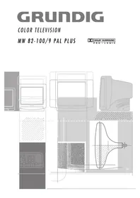 Notice GRUNDIG MW 82 100 9 PALPLUS Televisie