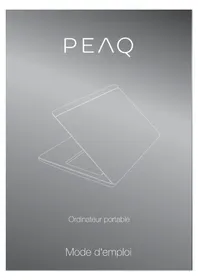 PNB P1117 PEAQ