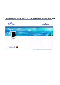 SAMSUNG SyncMaster 191N - Monitor