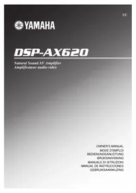 YAMAHA DSPAX620 - Heimkinoverstärker