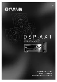 YAMAHA DSPAX1 - Home cinema amp