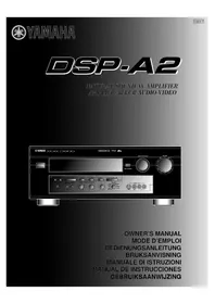 YAMAHA DSPA2 - Home cinema amp