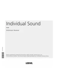 LOEWE Multiroom Receiver - Hifi-system