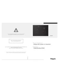 Notice Pelgrim IDK694 Poêle