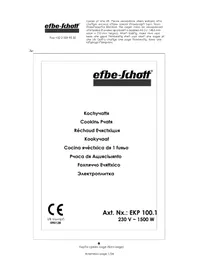 EKP 100.1 Efbe-Schott