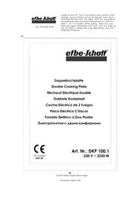 DKP 100.1 Efbe-Schott