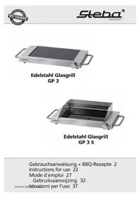 GP3S STEBA