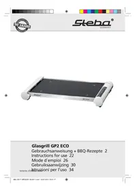 GP2 ECO STEBA