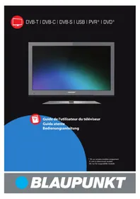BX42D56BFBQKUEA05 BLAUPUNKT