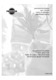 PROGRESS PAS6100E - Fornuis