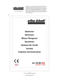 MS 600 Efbe-Schott
