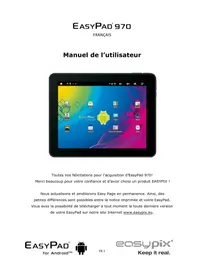 EASYPIX EasyPad 970 Satellite 2.3 - Tablette