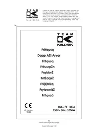 TEAM TKG FT 1006 - Friggitrice