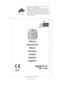 TEAM FT 17 - Friggitrice