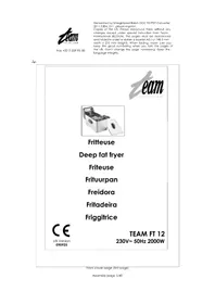 TEAM FT 12 - Friggitrice