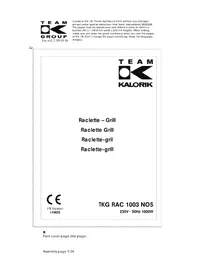 TEAM TKG RAC 1003 NOS - Fondue, raclette and wok appliance