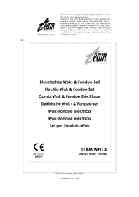 Notice TEAM WFD 4 Aparelho para fondue, raclette e wok