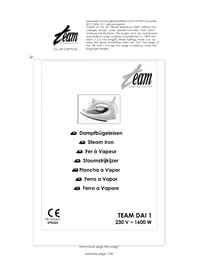 TEAM DAI 1 - Strijkijzer