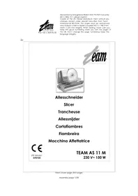 AS 11 M TEAM
