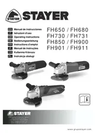 Notice Stayer FH650 Trituratore