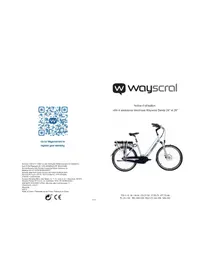 WAYSCRAL Dandy 24 - Rower elektryczny
