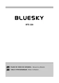 BLUESKY BTS 225 - Cuisinière