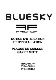 BLUESKY BTG 04 MX10 - Cuisinière