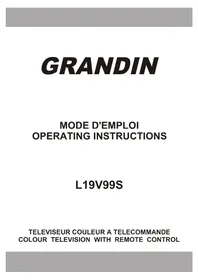 Notice GRANDIN L19V99S Téléviseur