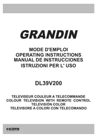 Notice GRANDIN DL39V200 Téléviseur
