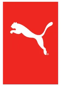 Puma Go - Hodinky