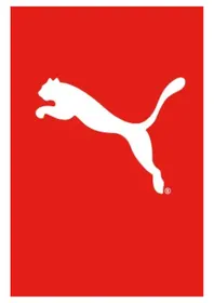 Flat Coast Puma