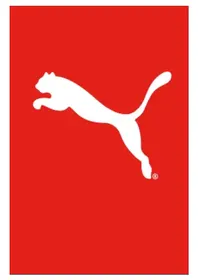 FAAS 300 Puma