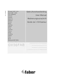 Notice FABER MISTY Cheminée