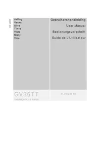 Notice FABER GV36TT Cheminée