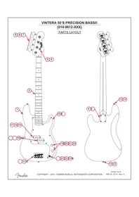 FENDER Vintera '50s Precision Bass - Guitare