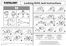 Notice Intellinet 790772 Câblage réseau