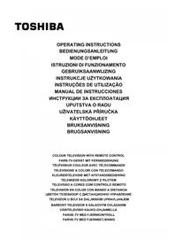 Notice TOSHIBA 43L3733 Televisie