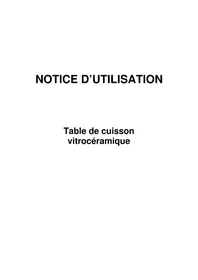 Notice BRICO DEPOT 343598 Cuisinière