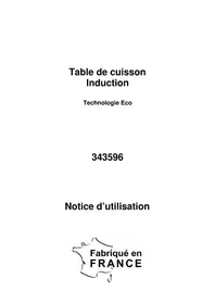Notice BRICO DEPOT 343596 Cuisinière