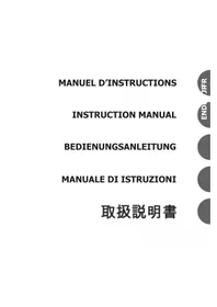 Notice Team Orion ORI60191 Batterie