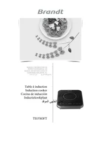 Notice BRANDT TI1FSOFT Cocina