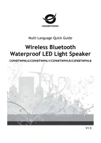 Notice CONCEPTRONIC CSPKBTWPHLR Station d'acceuil