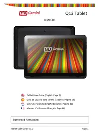 Q13 Tablet GEMQ1331 GEMINI