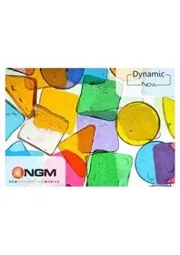 Dynamic Now NGM
