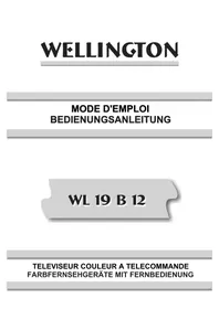 Notice Wellington WL19B12 Téléviseur