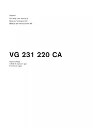 Notice GAGGENAU VG231220CA Cocina