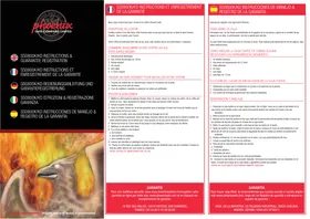 Notice Phoenix SS0802KD Coffre-fort