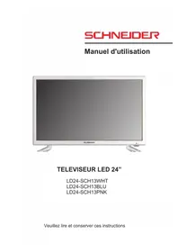 SCHNEIDER LD24SCH13PNK - TV